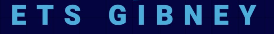 gibneyservices